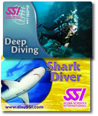 deep diving and shark diving specialty courses