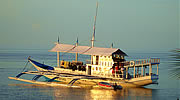 tauchsafari cebu bohol negros