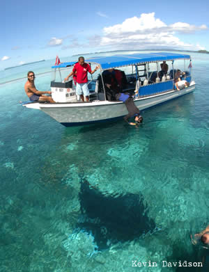manta