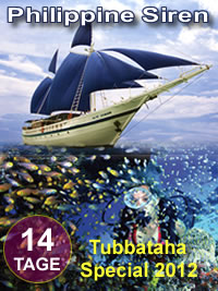 Tubbataha mit der Philippine Siren