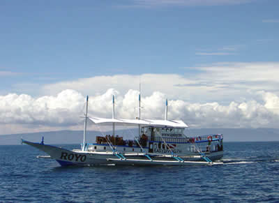 dive safari cebu philippinen