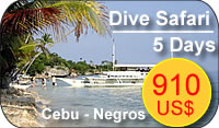 tauchsafari philippinen mit savedra dive center