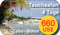 tauchsafari philippinen angebot