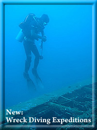 wracktauchen in cebu philippinen